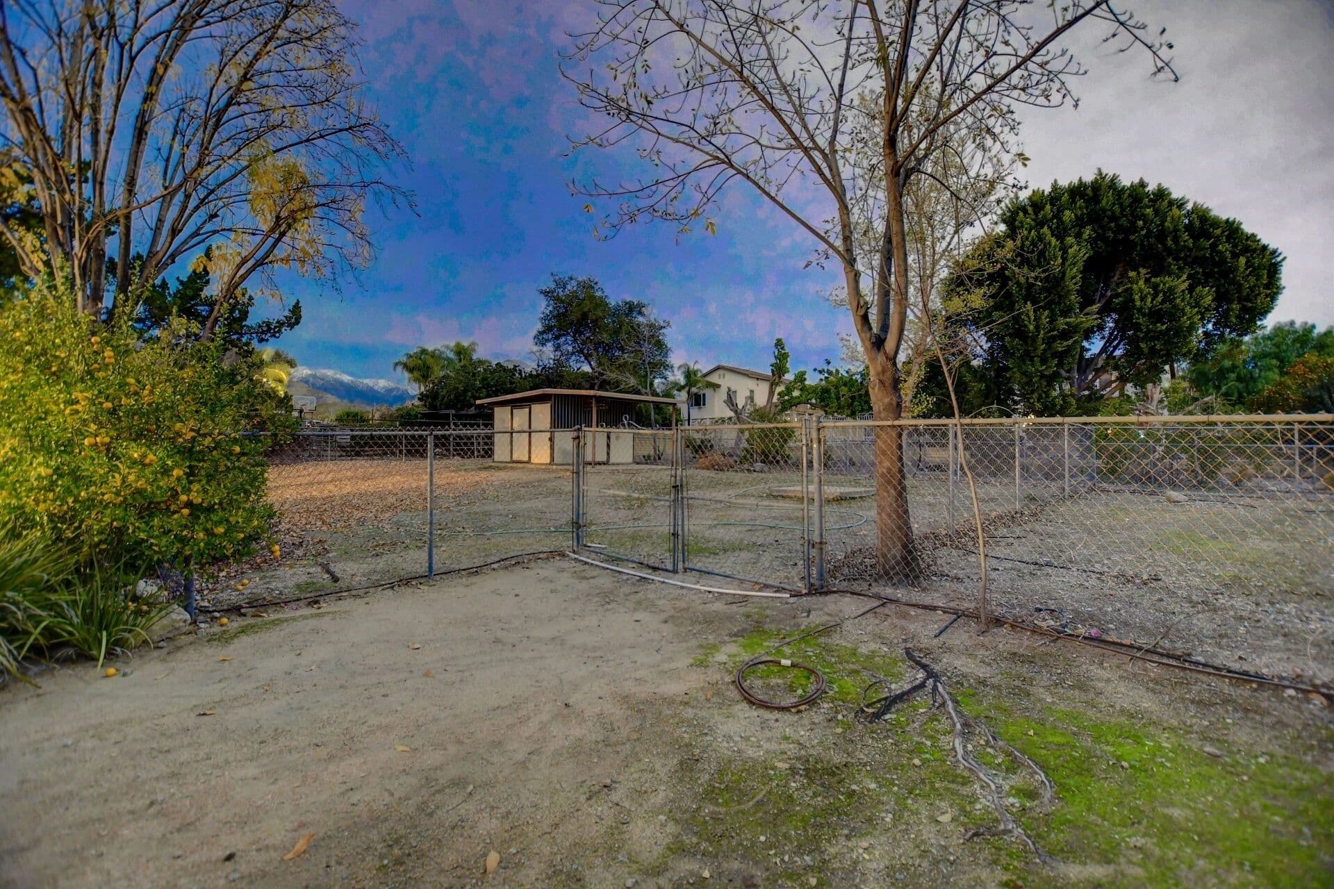 Real estate agents in claremont