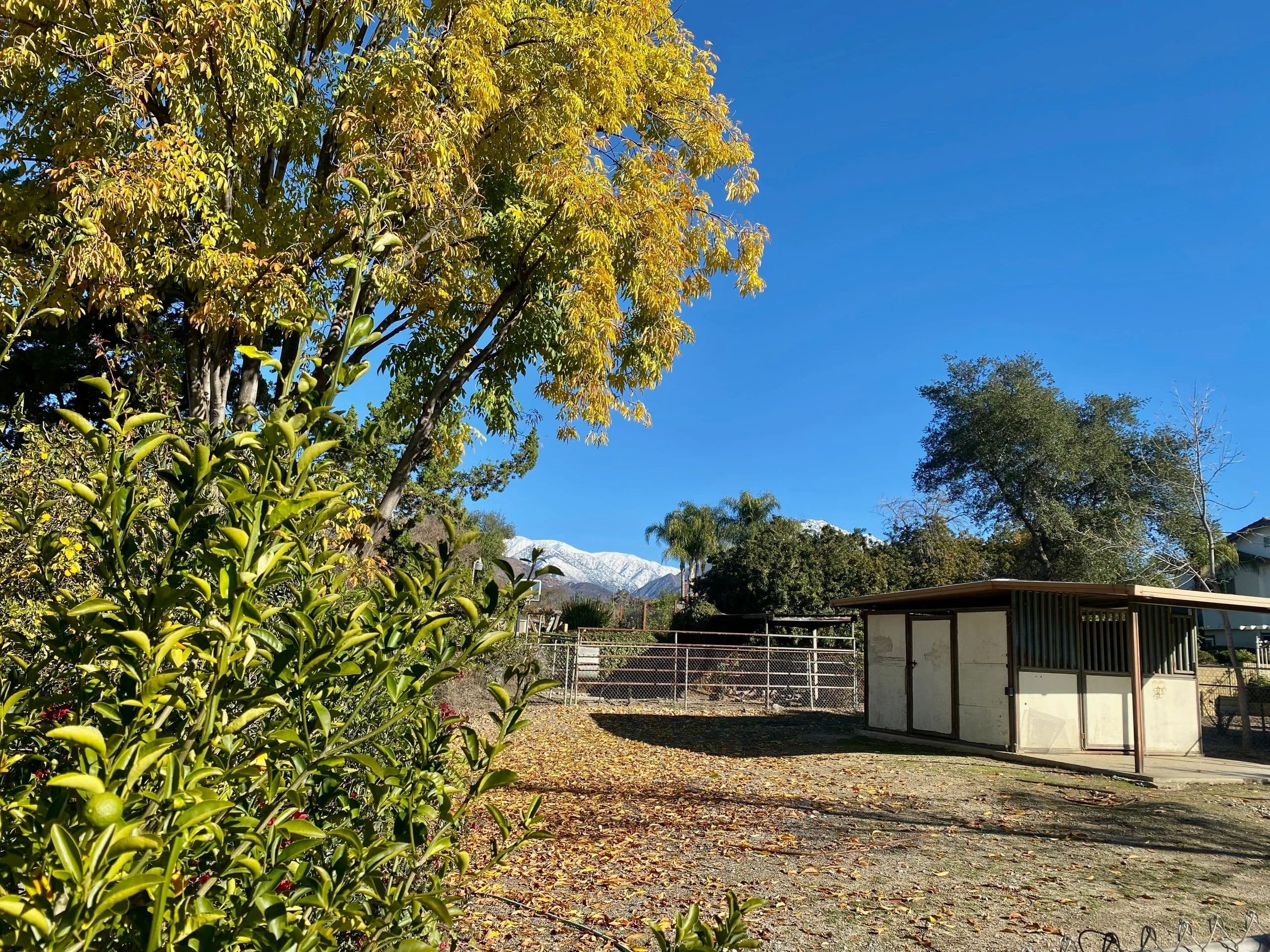Realtors in Claremont