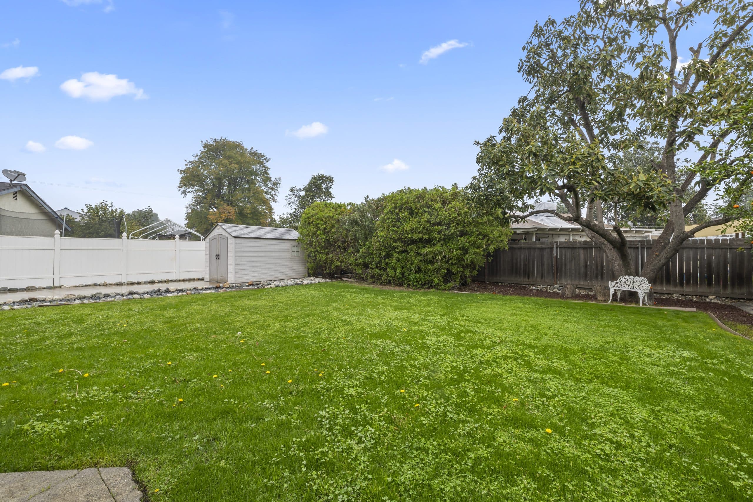 Large green lawn with a mature tree in a Claremont backyard