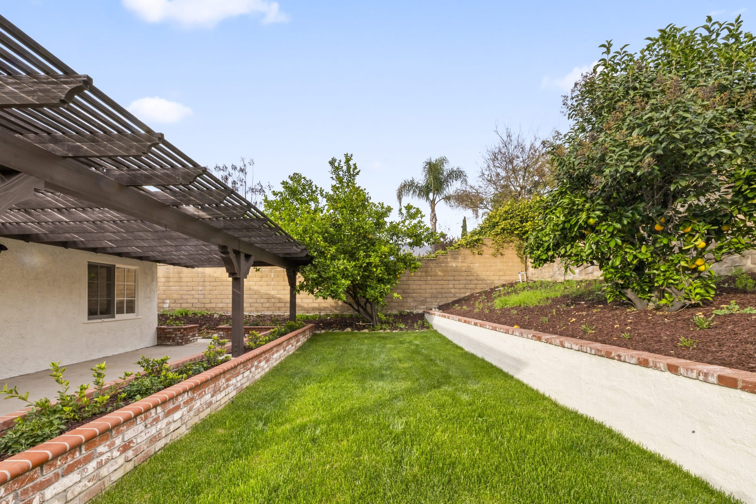 Bright backyard lawn with citrus trees and brick planters at a Claremont home